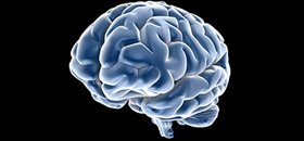 medical rendering of human brain